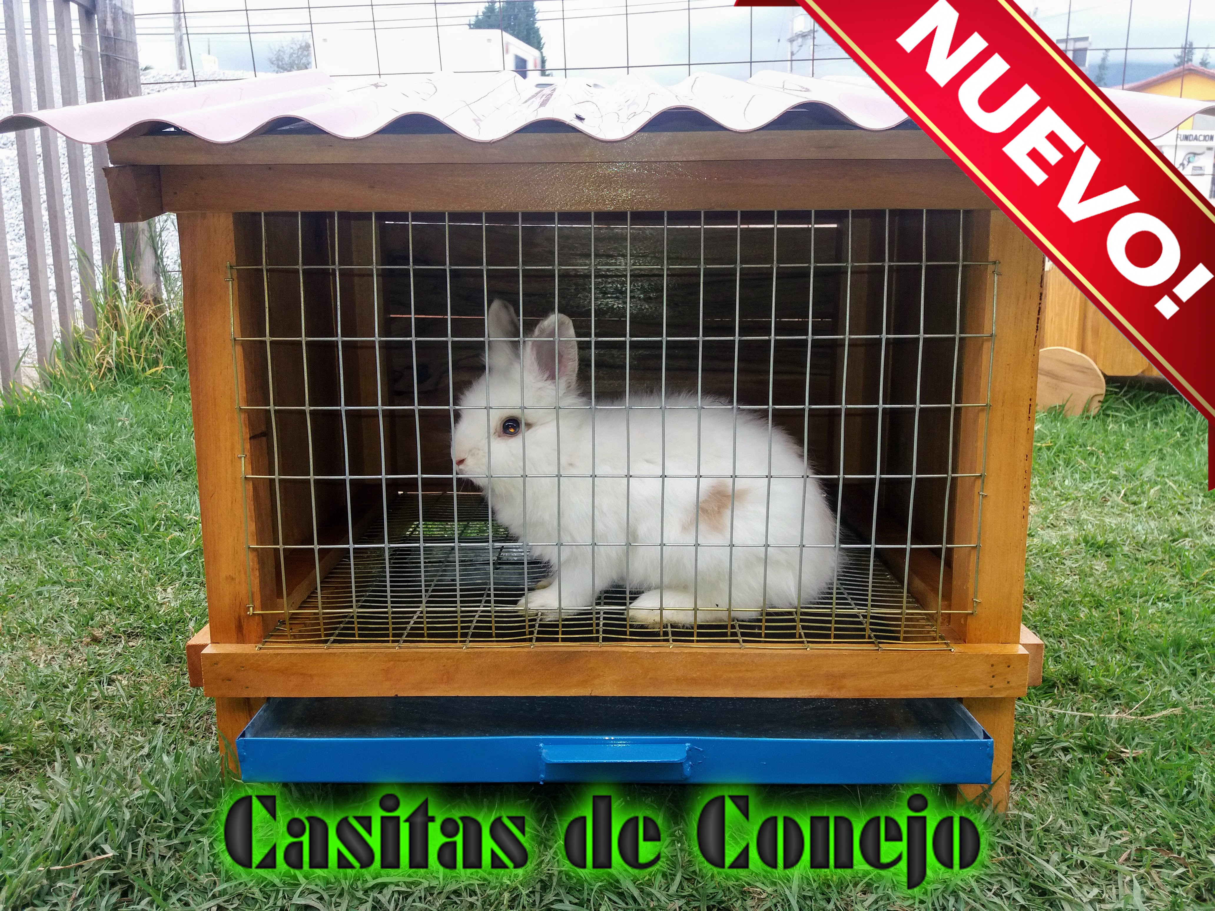 Casa Conejo Pequeña (Provisional)