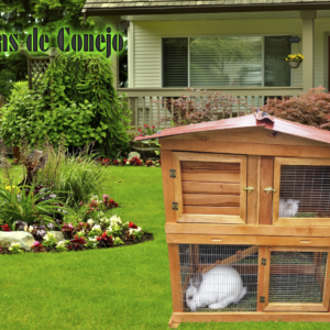 CASITA XXL PARA MASCOTA 2 PISOS