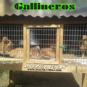 Gallinero para 10 Pollos