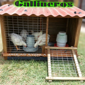 Casita Pequeña 4 Pollos