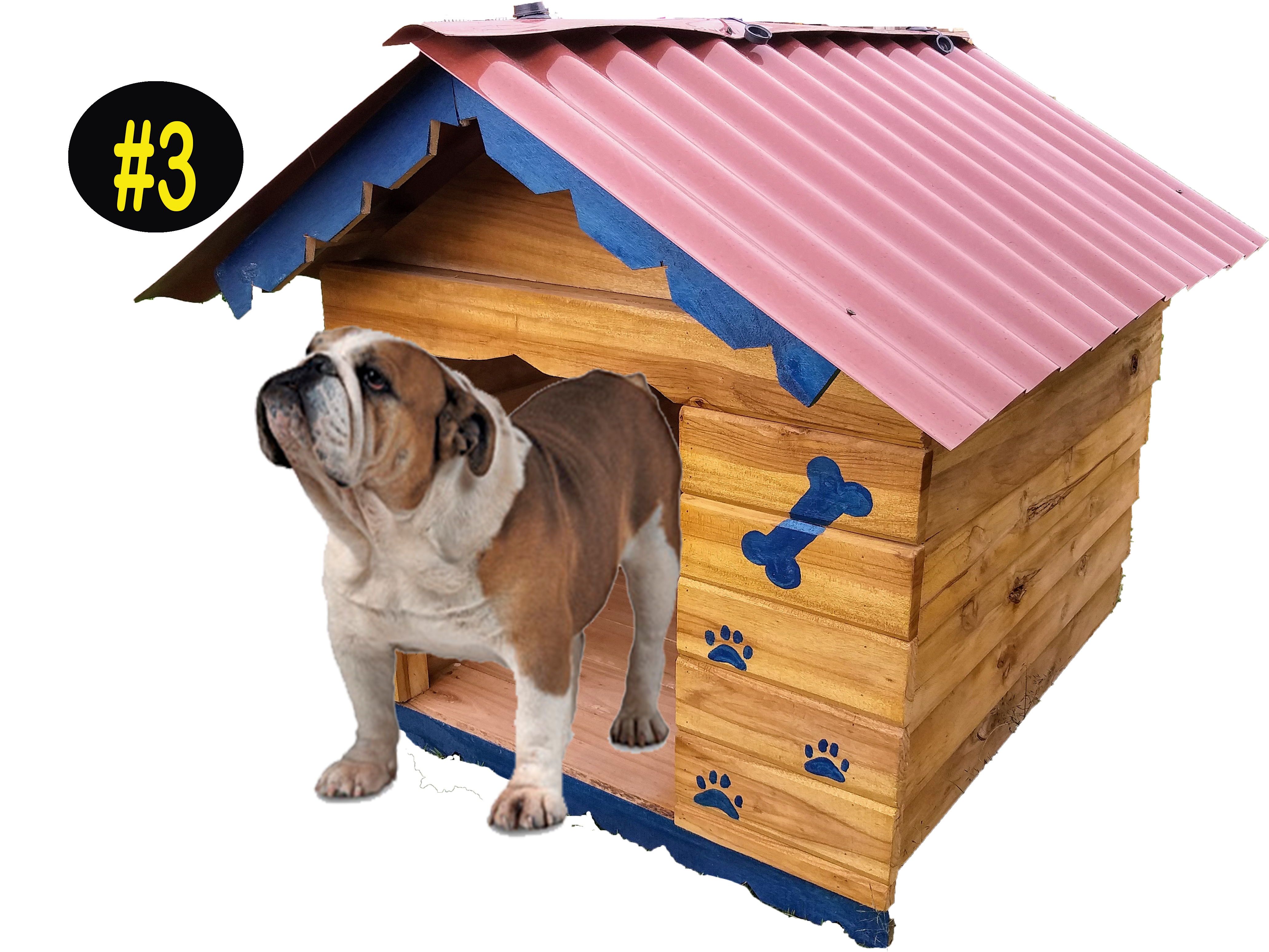 Casa de Mascota #3 (Bulldog,Boxer,Hush Puppies,Mestizo,Chow Chow)