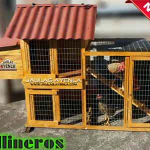 Gallinero Casero +Ponedero de Gallina 2 Pisos + Escalera