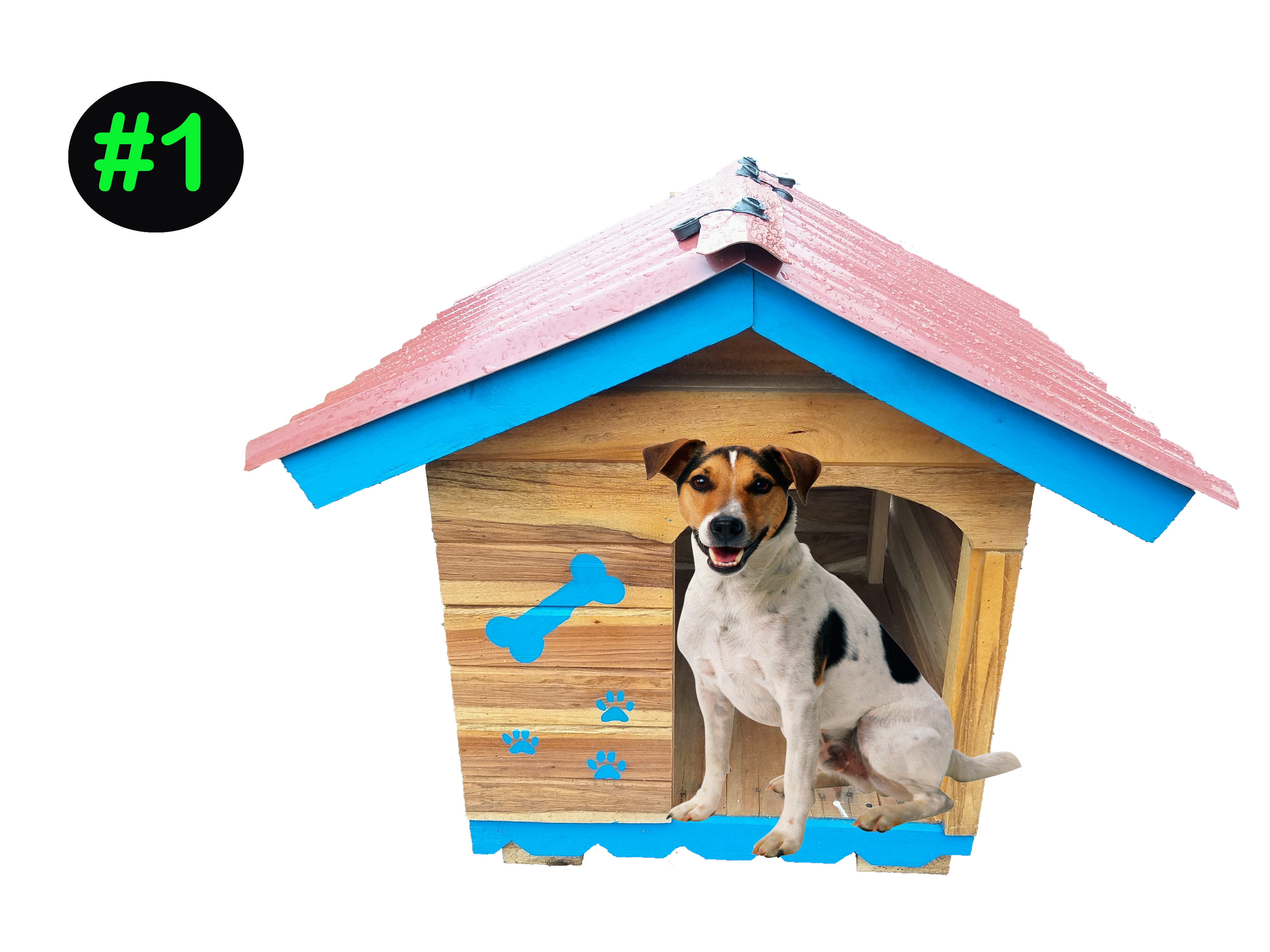 Casa de Mascota # 1 ( Salchicha,Jack Russell,Pug, otros)