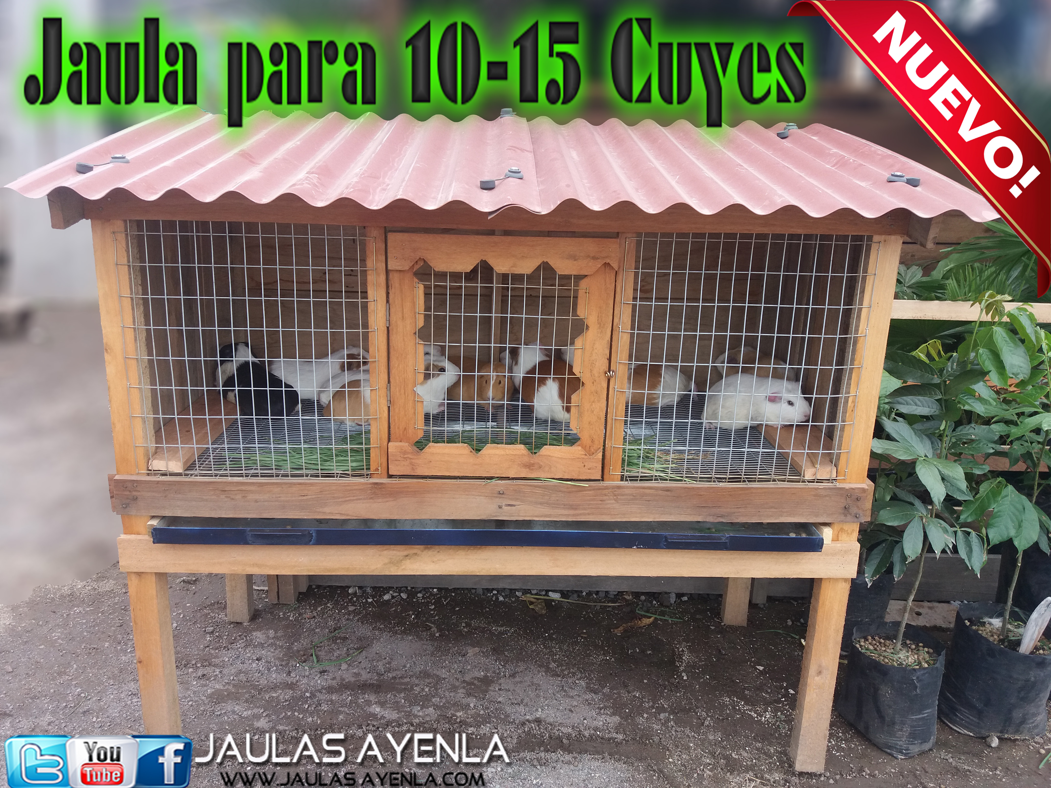 Casita Cuyes ( Capacidad 10-15 Cuyes)