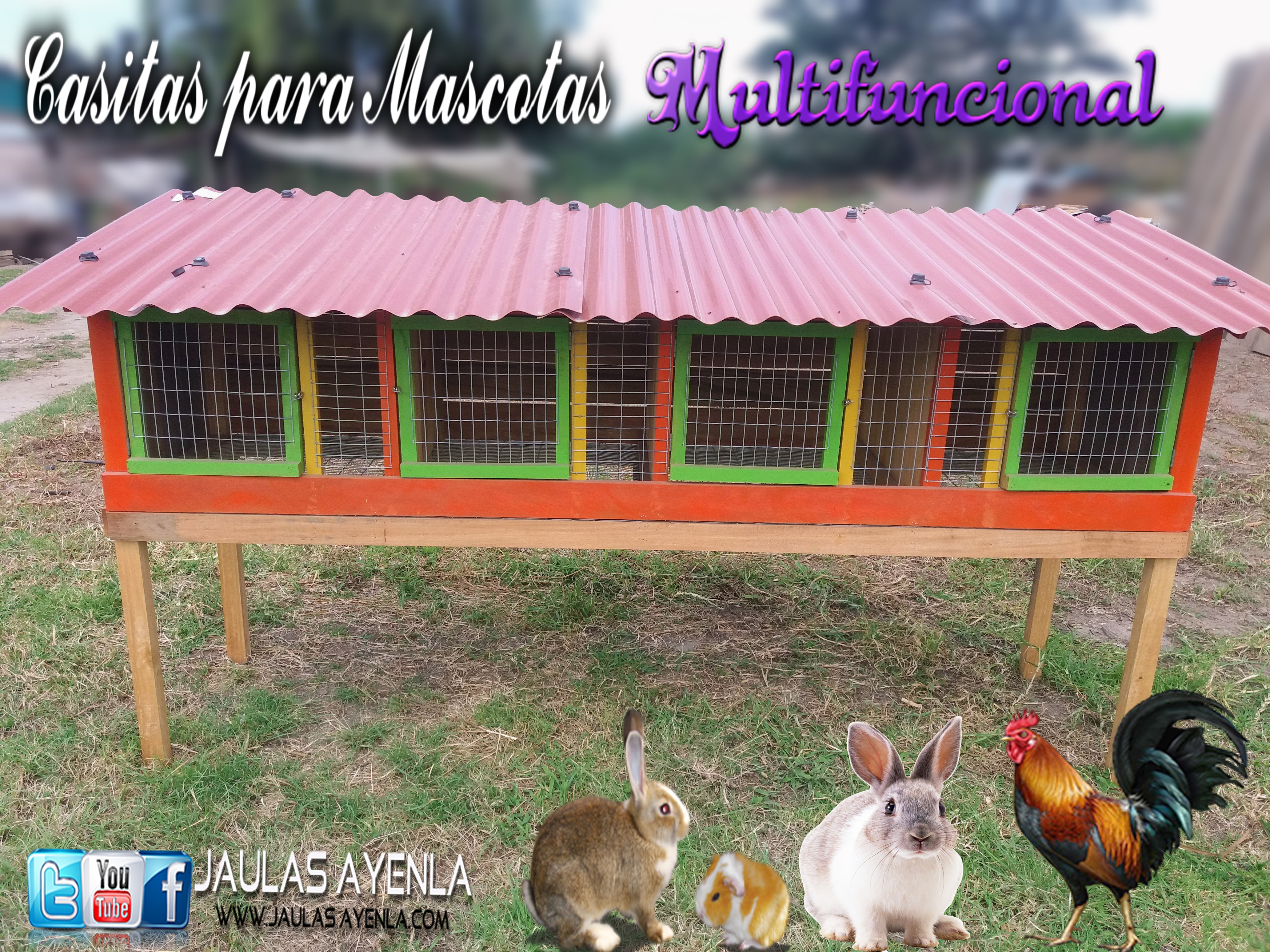 Jaula Cuyes 4 Servicios ( Capacidad 40 - 50 Cuyes)