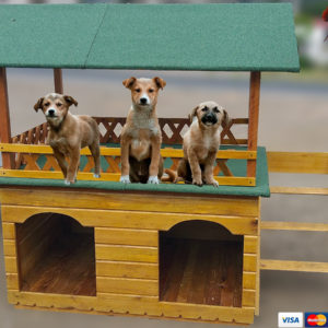 Casa Doble Chova  3-4 Mascotas (Tamaños Medianos)