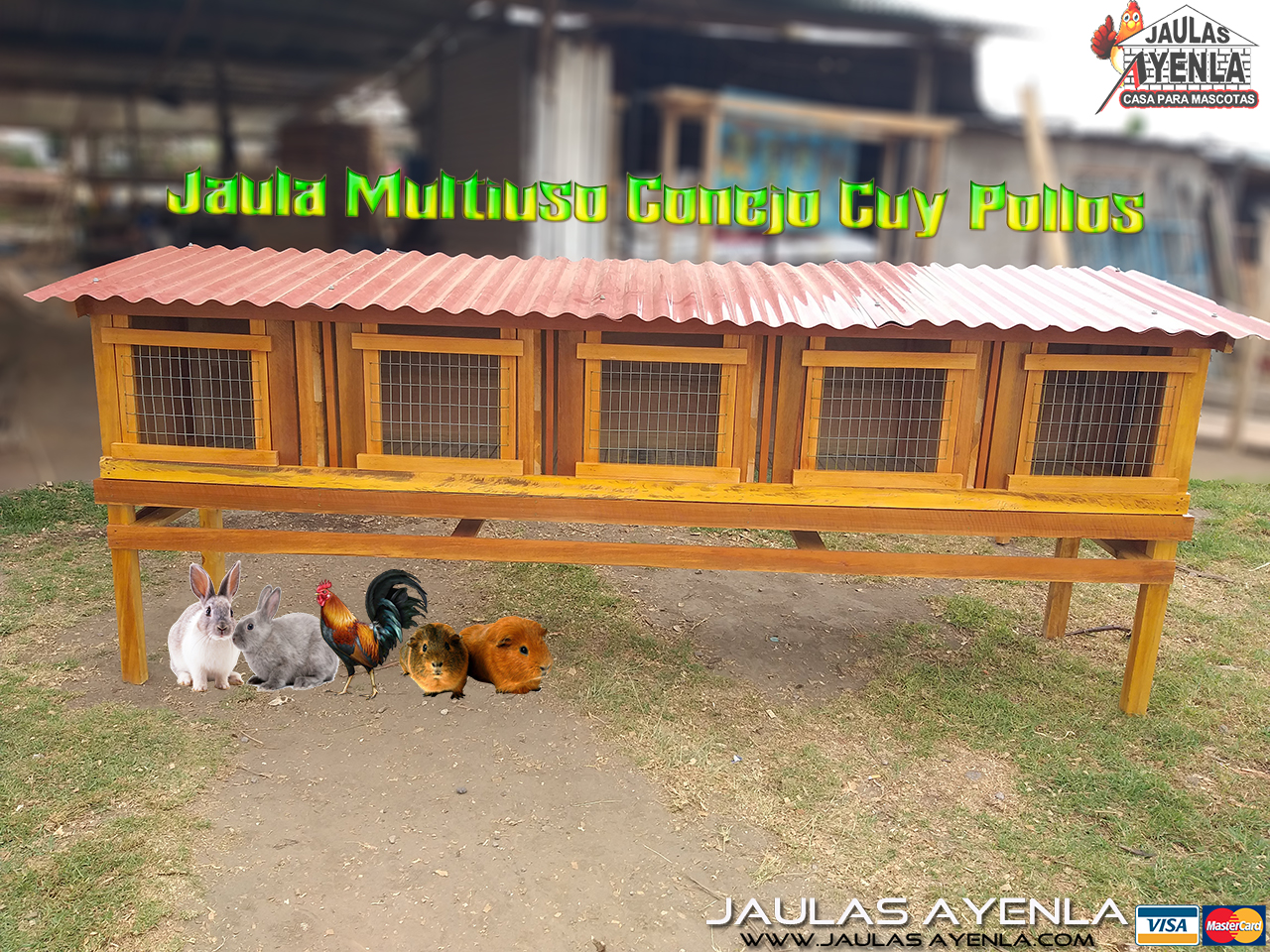 Jaula Multiuso 5 Servicios (Capacidad 50 60 Animalitos)