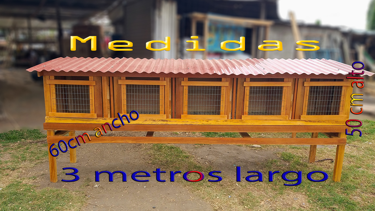 Jaula Multiuso 5 Servicios (Capacidad 50 60 Animalitos) - Imagen 3