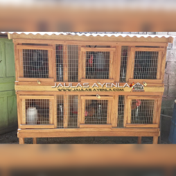 casas para gallos